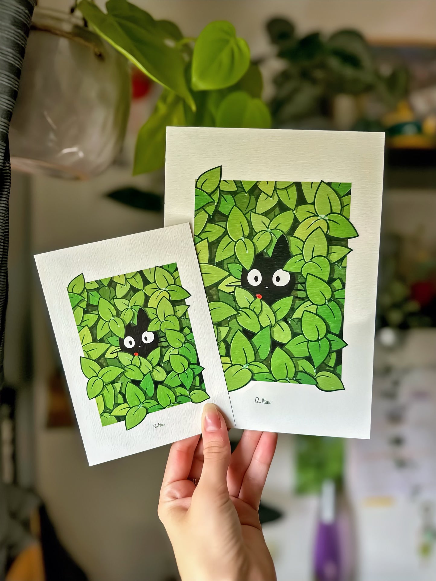 Été 🌿 / Automne 🍁