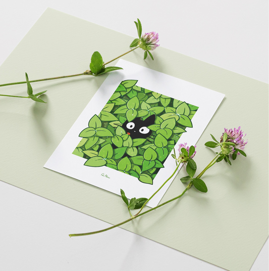 Été 🌿 / Automne 🍁