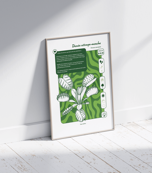 Entretien Dionée attrape-mouche 🌱