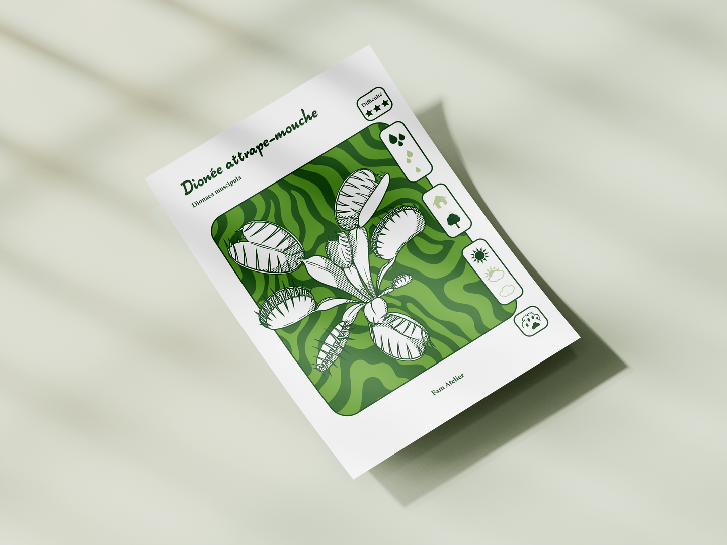 Entretien Dionée attrape-mouche 🌱