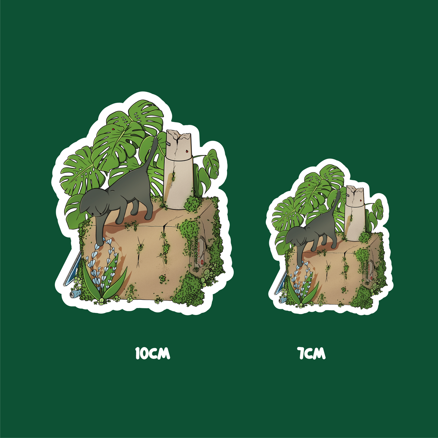Ce n'est pas un carton 🌱