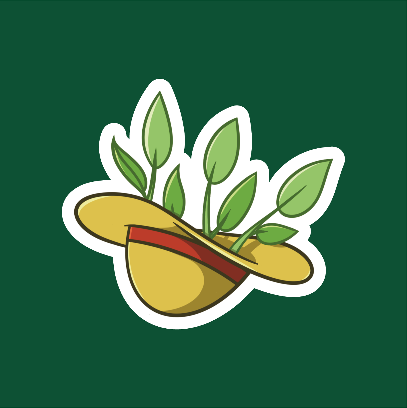 Chapeau Luffy 🏴☠️