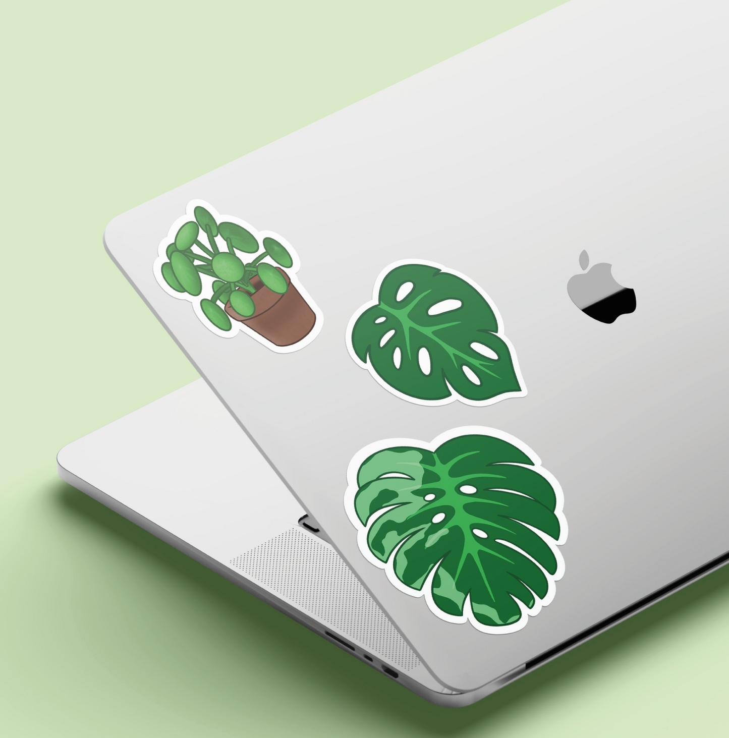 Monstera monkey mask 🌿