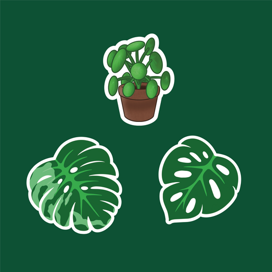 Monstera monkey mask 🌿