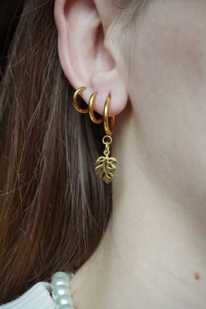 Boucles Monstera