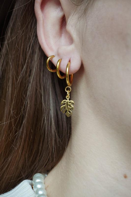 Boucles Monstera