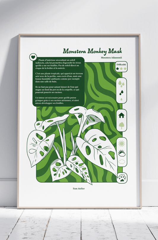 Entretien Monstera monkey mask 🌱