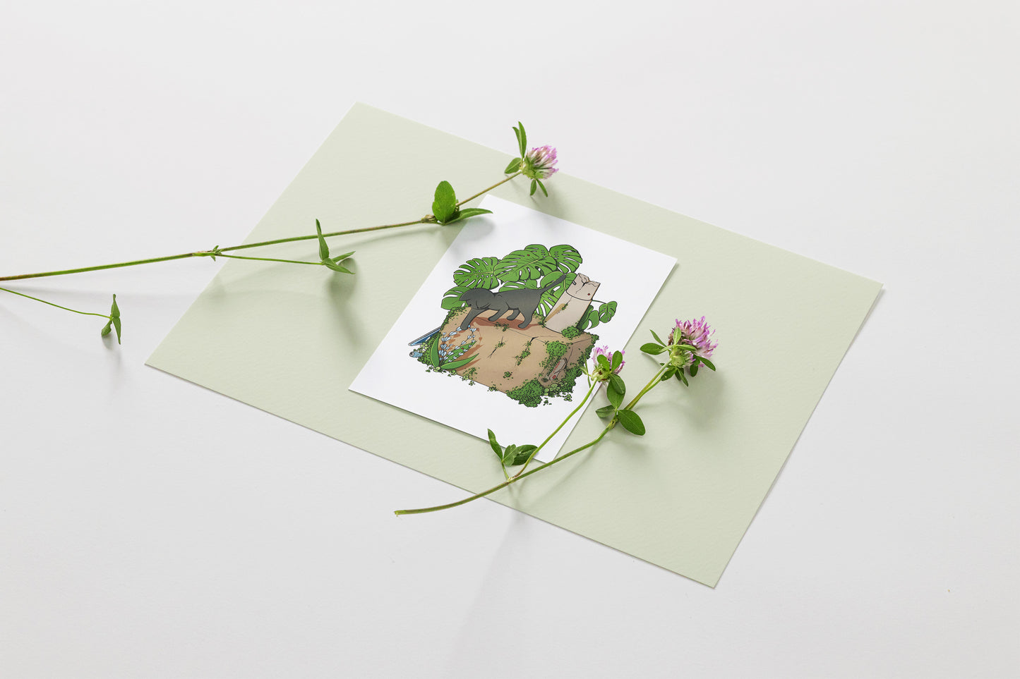 Ce n'est pas un carton 🌱