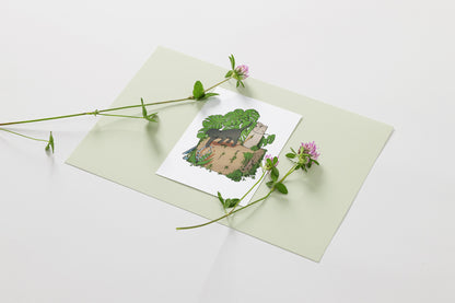Ce n'est pas un carton 🌱